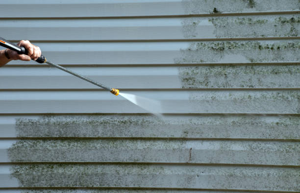 Best Concrete Pressure Washing  in Encinal, TX