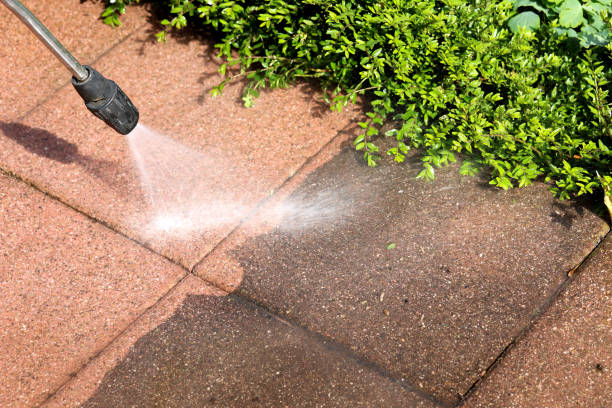 Best Local Pressure Washing Services  in Encinal, TX