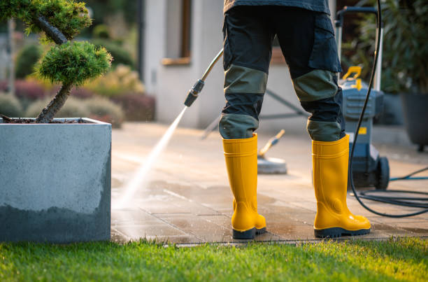 Best House Pressure Washing  in Encinal, TX